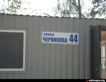 Ломоносов черникова