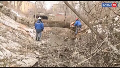 Мальчик утонул в сормовском парке