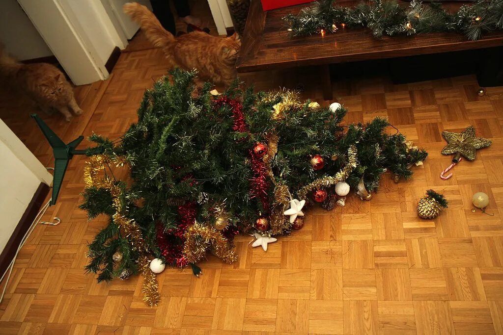 елка после нового года. убираем елку. опрокинутая елка. срубленная ель. новогодняя елка лежит в санях.