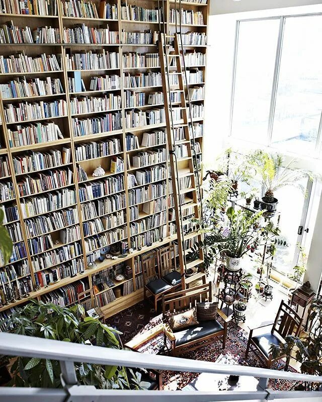 Дом из книг. Книги на дом в библиотеке. Книги на дом в библиотеке. Экскурсия по библиотеке дом где живут книги. Библиотека эстетика.