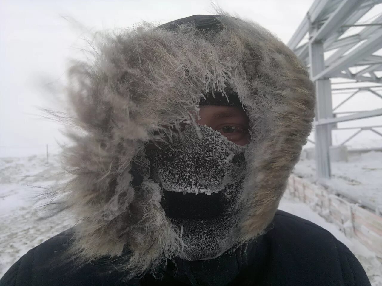 Ужасный холод. Холодина жуткая. Самые жуткие картинки с морозами. Нечто страшное в Арктике.