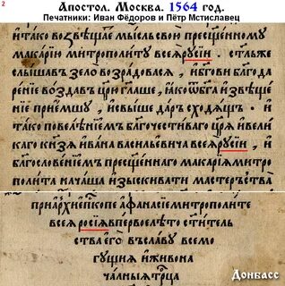 1564 год