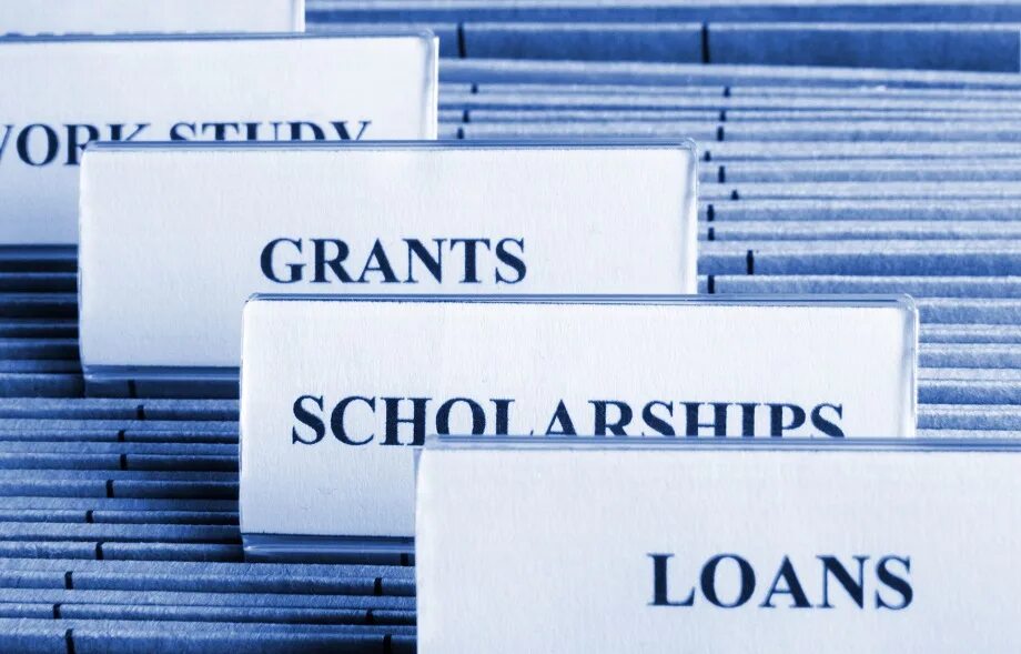 Грант vector. Grant at scholarship. Грант иллюстрация. Scholarship grant разница. Grant loan.