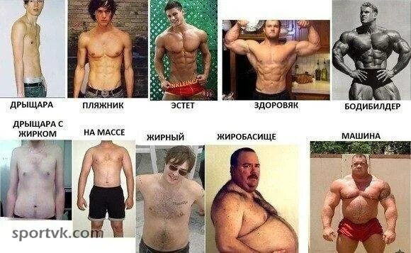 Эстет это
