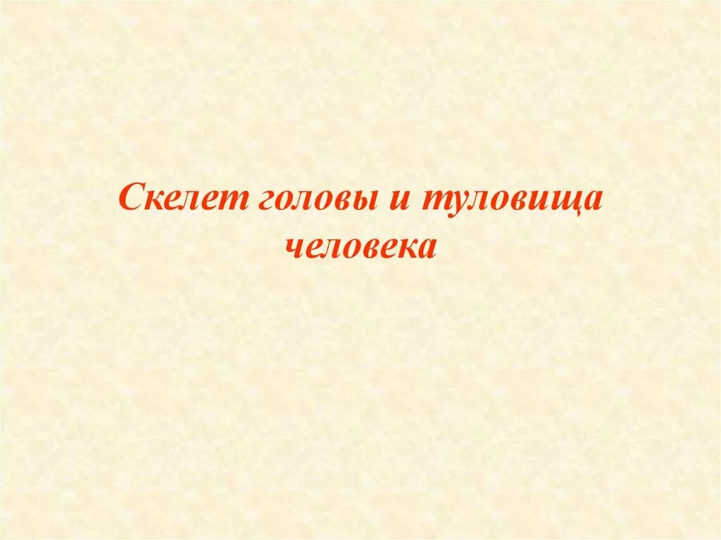 Скелет головы и туловища. Скелет головы и туловища 8 класс. скелет головы и туловища человека презентация 8 класс. скелет головы и туловища 8 класс презентация вопросы.
