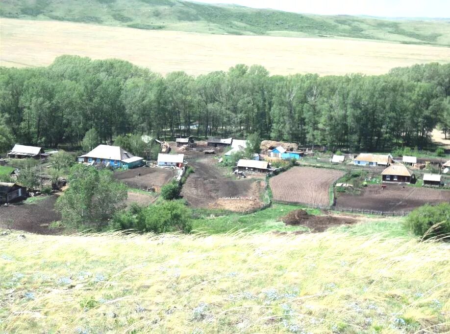 Погода алтайский край казанцево. Село Казанцево Алтайский край Курьинский район. Усть-Таловка Алтайский край Курьинский. Ручьево Курьинский район. Усть Таловка Алтайский край Курьинский район.