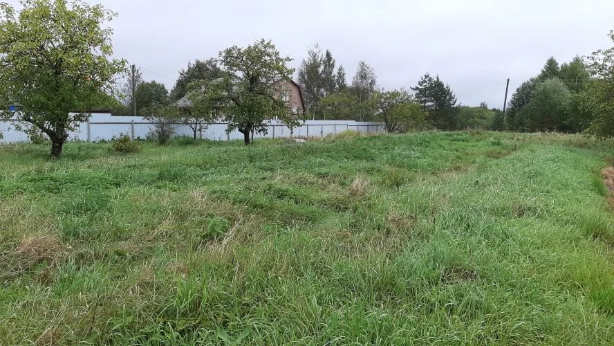 Погода борщево клинский. Снт борщево. Погода борщево клинский. Борщёво (московская область). Погода борщево клинский.