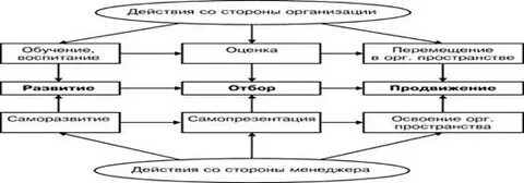 Организация процесса управления карьерой