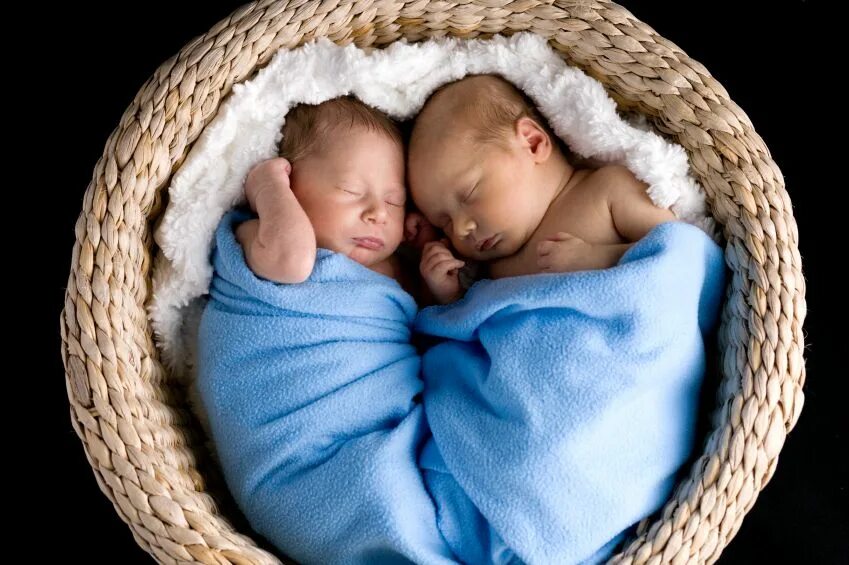 поздравляю с двойняшками. новорожденные близнецы. близнецы мальчики. черно белые двойняшки. с надеждой двойня.