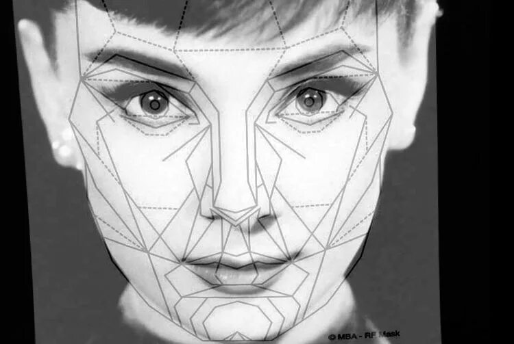 Лицо в золотом сечении. Идеальное лицо маска. золотое сечение лица. геометрические фигуры с лицами. маска красоты золотое сечение.