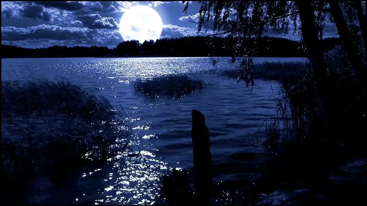 Река ночью. Лунный пейзаж. Озеро ночью. Луна и озеро. Луна озера ночи