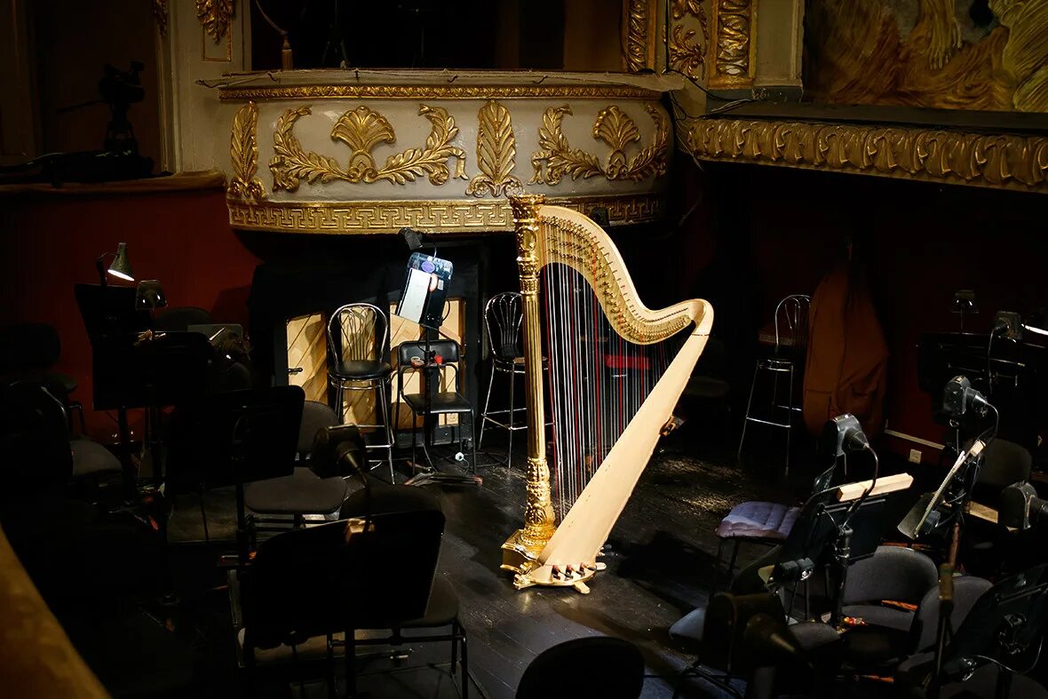 Культура и искусство. Театр инструменты. Художник сюрреалист владимир куш бабочки. Органный концерт шедевры мирового органа в петрикирхе. Карнеги холл рояль.