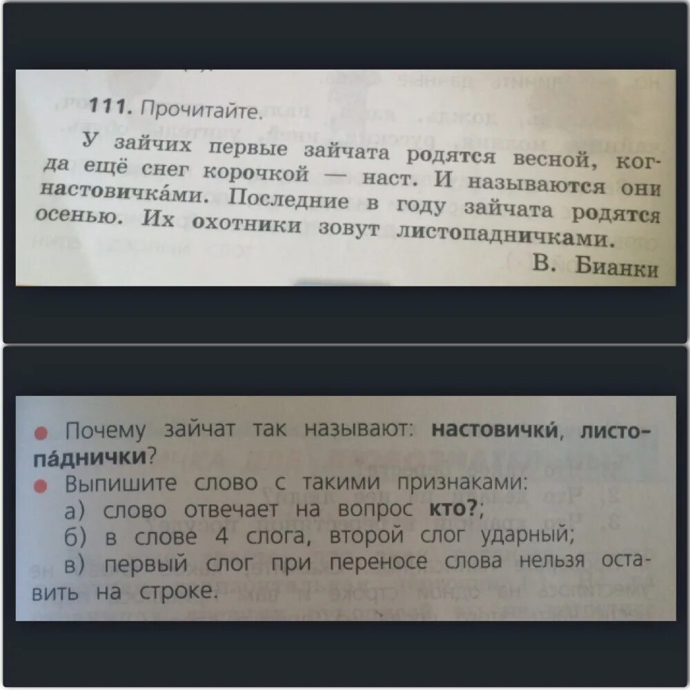 111 Прочитайте. У зайчих первые Зайчата родятся весной когда ещё снег корочкой наст. Упражнение 111 настовички. Текстовый тренажёр 4 класс Зайчата ответы на вопросы. Читать 72 страницу