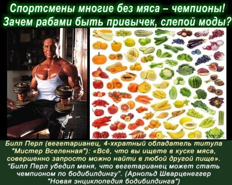 Для чего нужно есть мясо. Знаменитые вегетарианцы. люди вегетарианцы. вегетарианец известная личность. вегетарианец и мясоед.