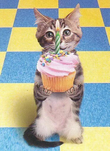 Decent Image Scraps Happy 2nd birthday, Happy birthday, Birthday