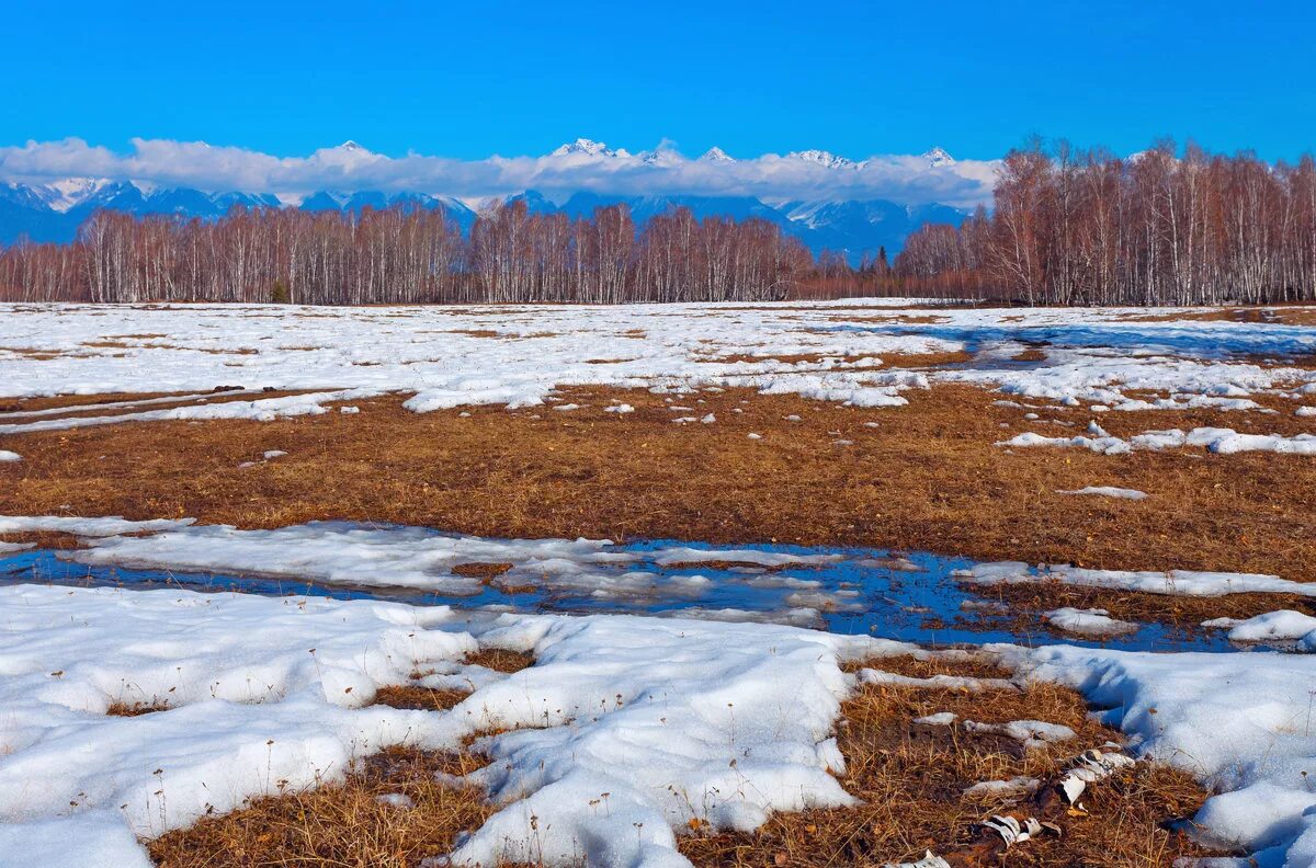 Весенние проталины. Проталины. Проталины. Появляются проталины. Проталины.