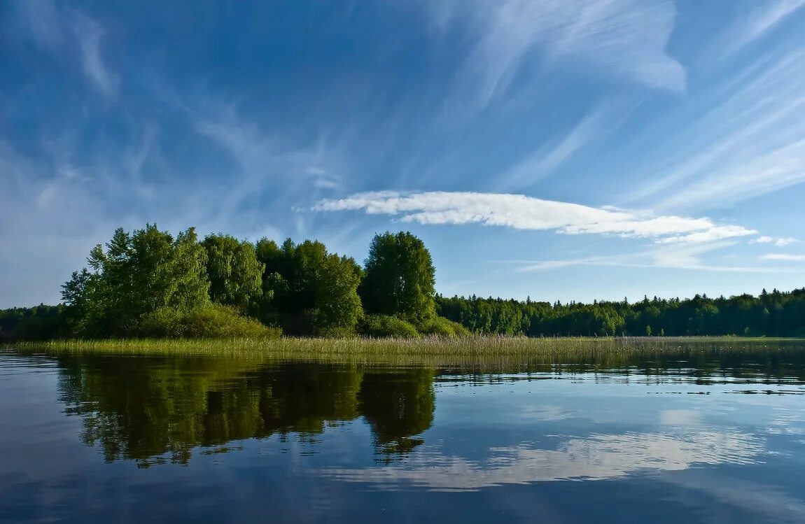 Река Кама. Реки России Кама. Кама Удмуртия. Удмуртия Кама лето. Река кама является притоком реки