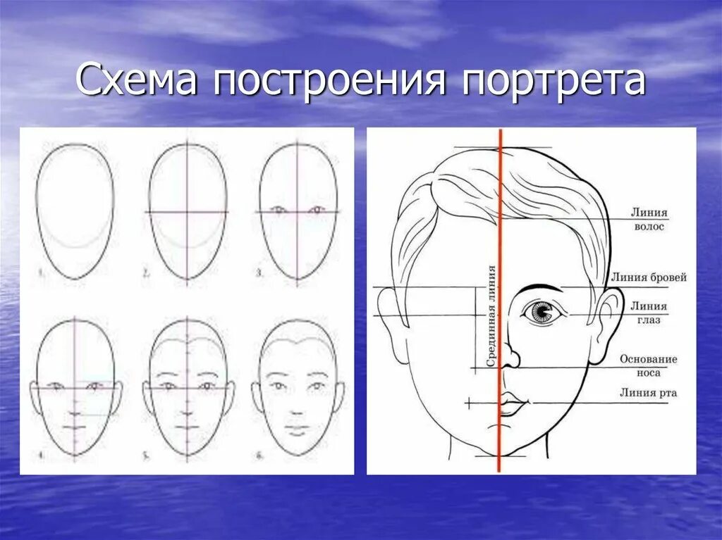 Портрет человека 4 класс изо презентация. Схема построения человека пропорции. Схема построения портрета. Пропорции лица схема. Построение лица человека схема.