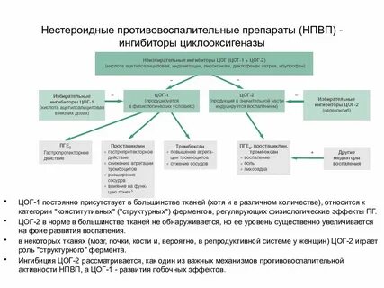 Нпвп цог