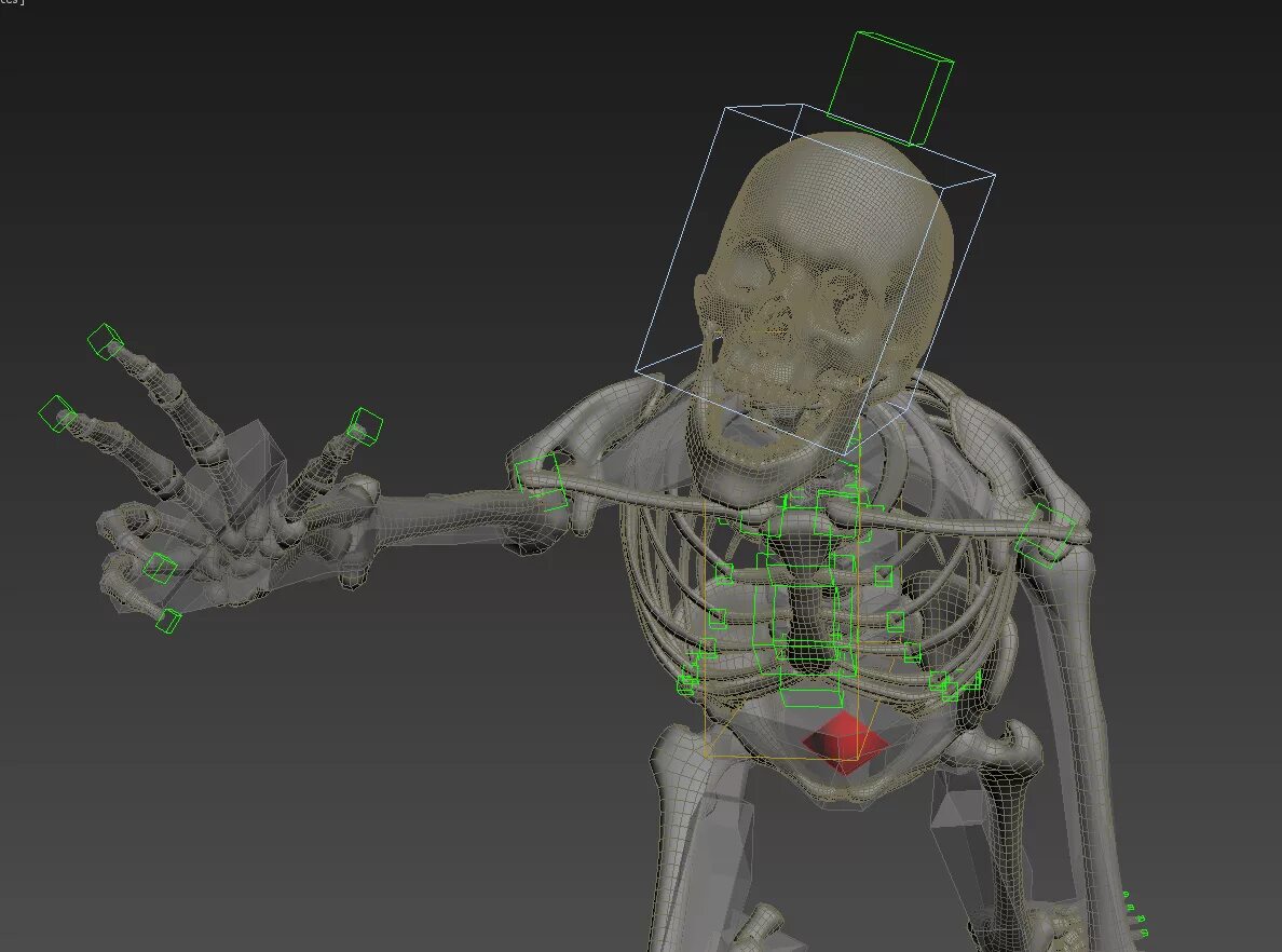 Скелетон мод. Blender скелет. 3ds max skeleton. 3д модель скелета человека blender. 3д модели в блендере скелета.