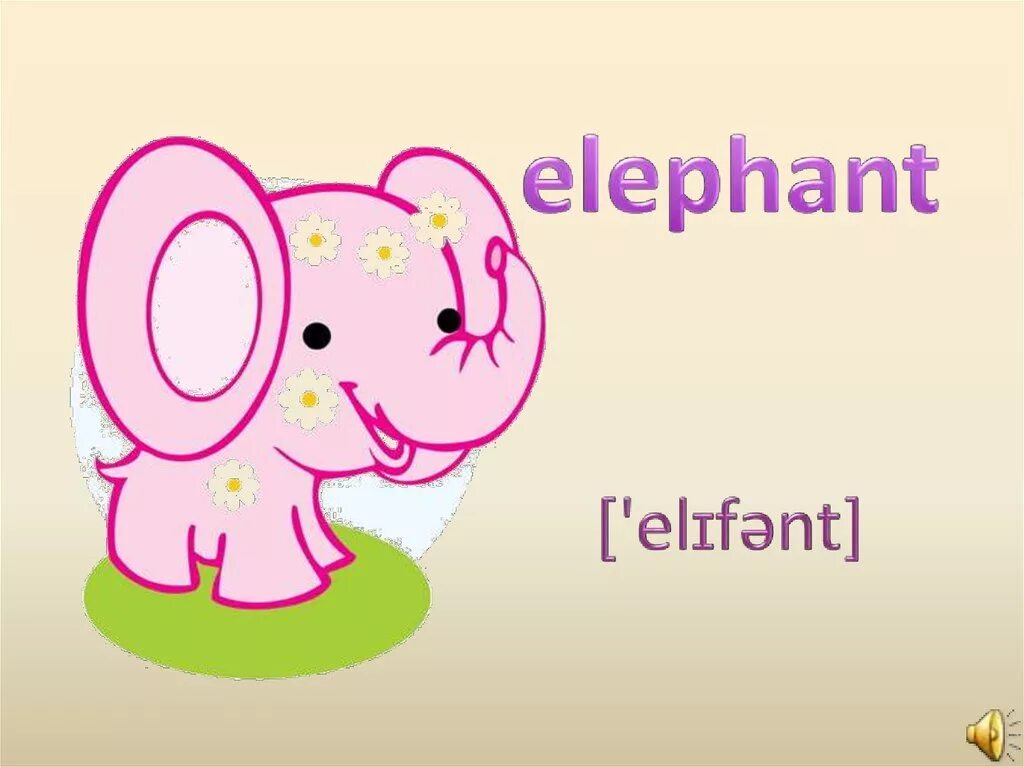 Презентация English for Kids. Animals English презентации. Animals ppt for Kids. Animals presentation for Kids.