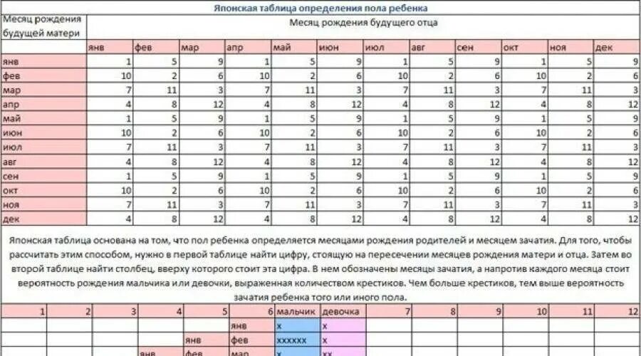 15 неделя можно узнать пол ребенка. Как узнать какой пол ребенка на 12 неделе. определить пол ребёнка поузи. как узнать пол будущего ребенка узи. на каком сроке можно определить пол ребенка по узи.