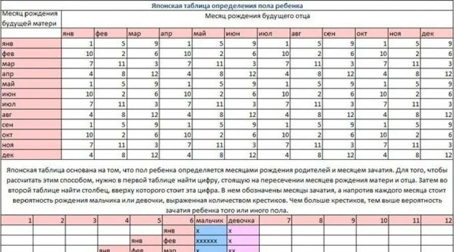 Как определить пол ребенка на 12 неделе. Таблица определения пола ребенка. Определить пол ребёнка Поузи. Как узнать пол будущего ребенка на УЗИ. В каком сроке можно узнать пол ребенка