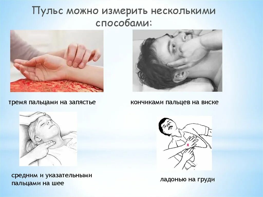 Как можно измерить пульс. Способы измерения пульса. способы измерить пульс. способы измерения пульса физическая культура. способы измерения пульса вы знаете.