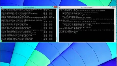 Agent linux
