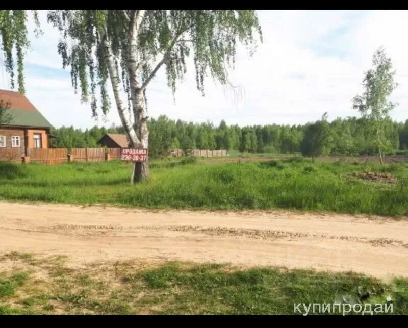 Снт слава труду химки. Сосновый бор прибрежная зона. Снт студенец. Бор нижегородская область поле. Золотово нижегородская область.