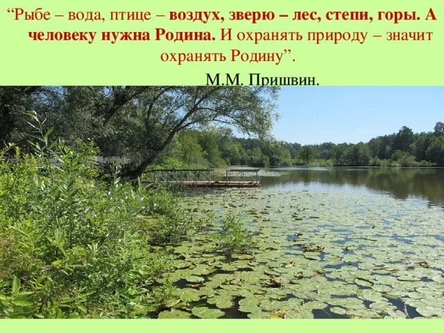 Рыбам нужен воздух. Рыбе вода птице воздух зверю лес степь горы а человеку. Рыбе нужна вода птице воздух. Пришвин охранять природу значит охранять. Охранять природу значит охранять родину пришвин.