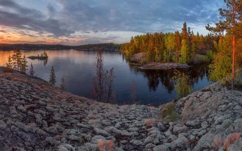 Какие леса в европейском севере