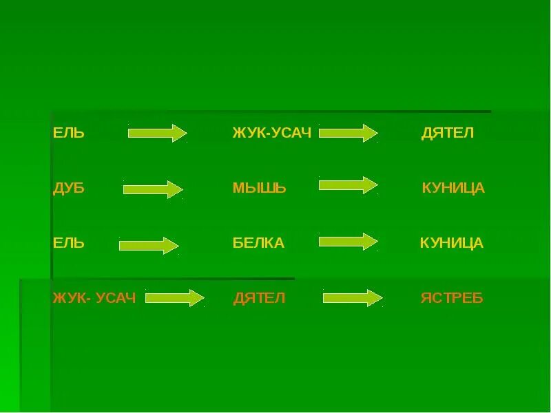 Составить цепи питания тайги. Цепь питания леса. Цепь питания в тайге. Пищевая цепочка тайги. Цепочка питания куница.