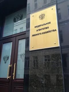 Федеральное агентство лесного хозяйства 513