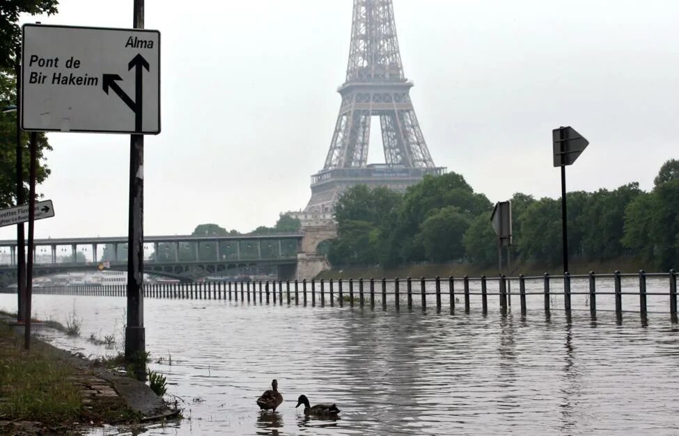 Сена река грязная. Заплыв на открытой воде 2024. Наводнения в париже 2013. Вода в сенне. Река сена во франции.