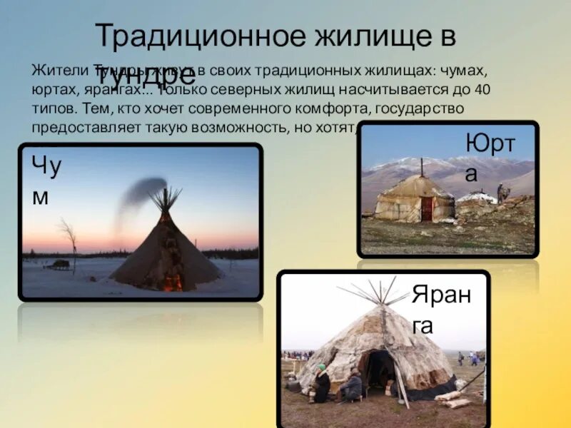 Как выжить в тундре?