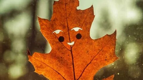 Лист улыбается