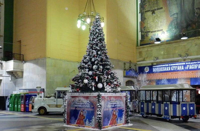 Новогодняя елка мичуринск. Московская новогодняя елка. Елки 7 декабря. Ретро елка спб. Елки 7 декабря.