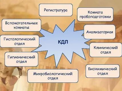 Лаборатория регистратура