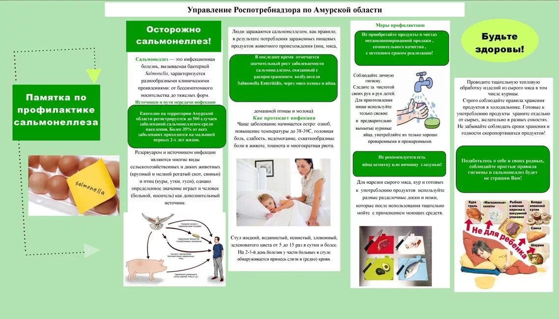 Госпитальный сальмонеллез памятка. Брошюра на тему профилактика острых кишечных заболеваний. Профилактика сальмонеллеза памятка. Профилактикасальмонелл. Сальмонеллез меры