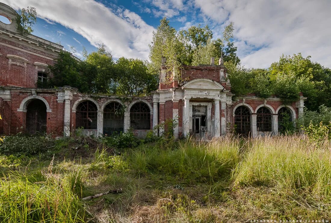 Отрада усадьба графа орлова. Дворец орлова в семеновском. Заброшенная усадьба графа орлова семеновское-отрада. Отрада орловых. Ступинский район усадьба графа орлова.