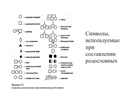 На схемах родословных женщину обозначают