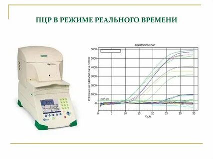 График в режиме реального времени