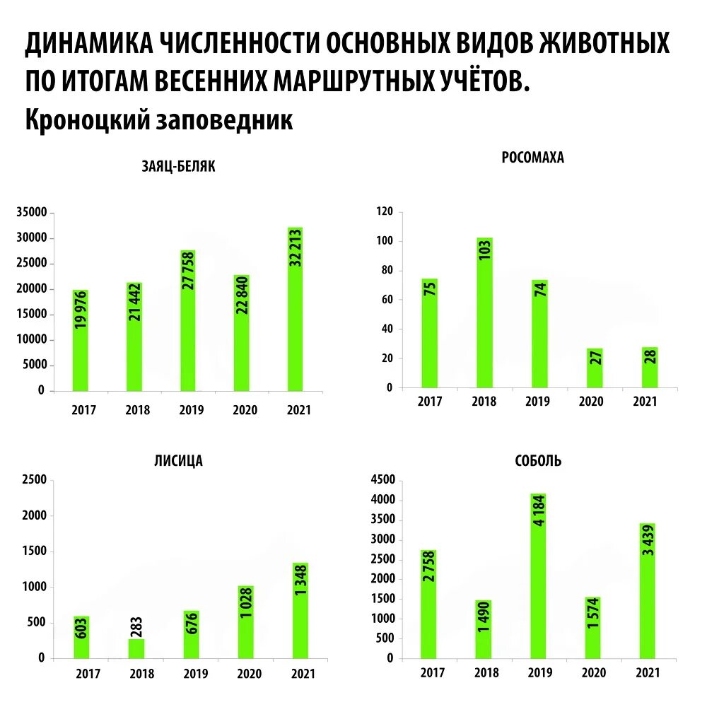 На графиках продемонстрированы изменения численности жертвы зайцев. Динамика численности зайца беляка. Заяц Беляк численность. Численность зайца беляка в России. Изменение численности зайца-беляка.