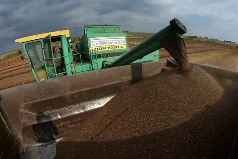 Урожайность алтайского края