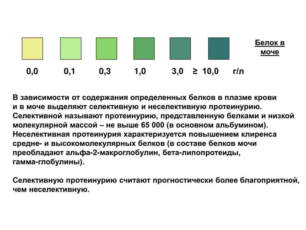 Белок в моче болезни. Белок к моче 0.1 гр. Белок 0.6 г/л в моче. Белок в моче 0.10 г/л. Белок в моче 3 г/л.