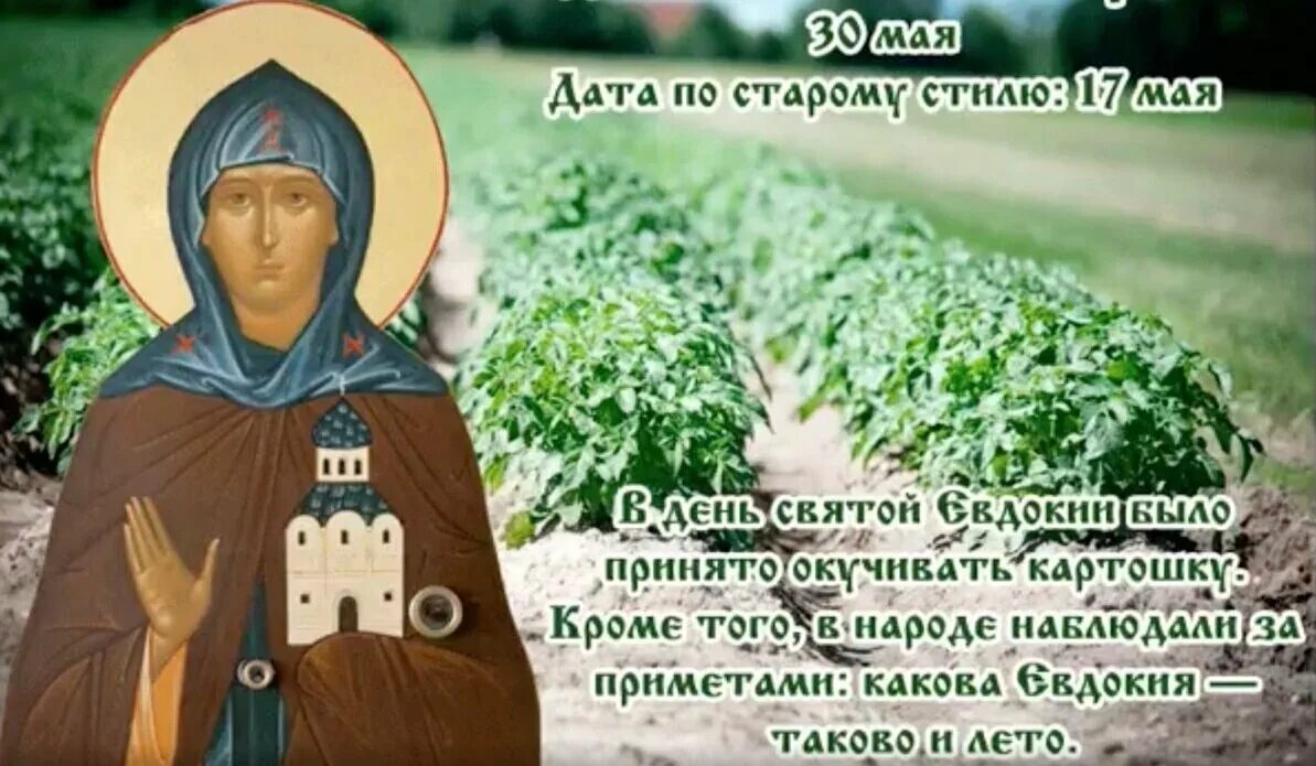 Какой сегодня праздник 30 мая 2025 года. 30 мая день евдокии-свистуньи.