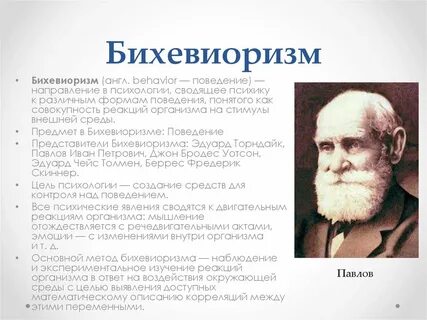 Представители бихевиоризма