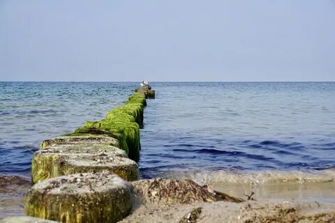 В балтийском море есть