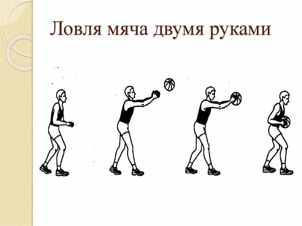 Передачи в баскетболе упражнения. Ловля и передача мяча в баскетболе. Ловля и передача баскетбольного мяча в движении. Техника передачи мяча в баскетболе схема. Прием мяча снизу в баскетболе техника выполнения.